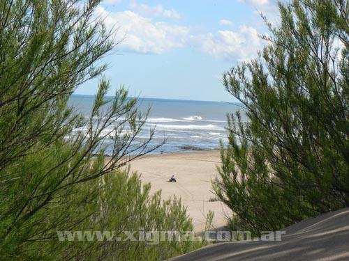 Medanos - Playa de Necochea.jpg